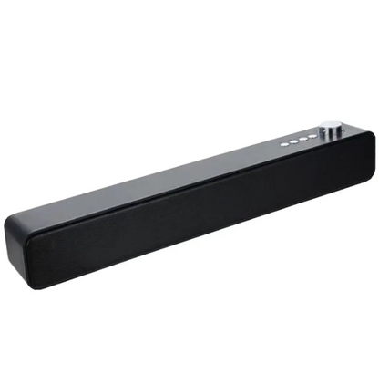 Portable Audio Companion