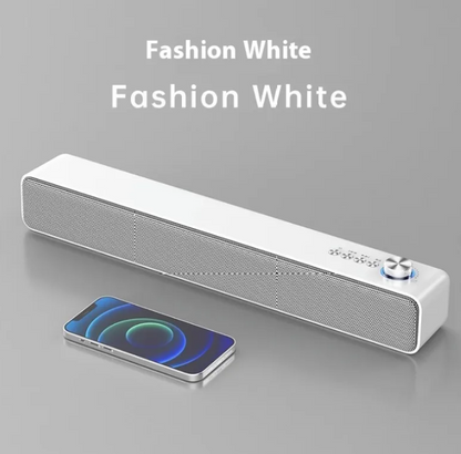 Portable Audio Companion